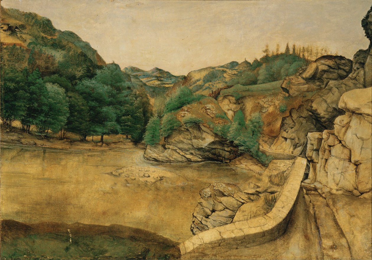 Sentiero nelle Alpi da Albrecht Dürer or Duerer