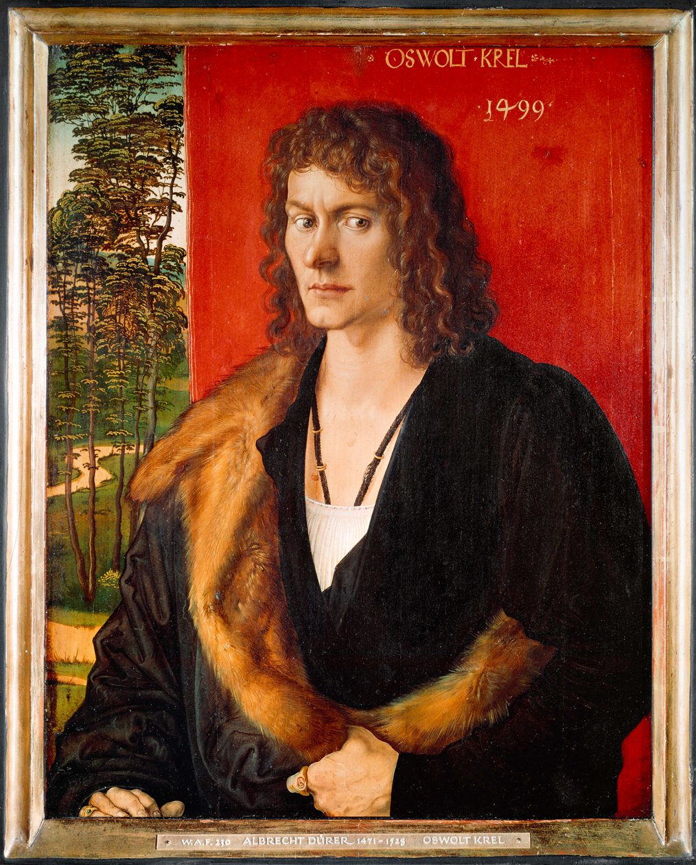 Ritratto di Oswolt Krel da Albrecht Dürer or Duerer