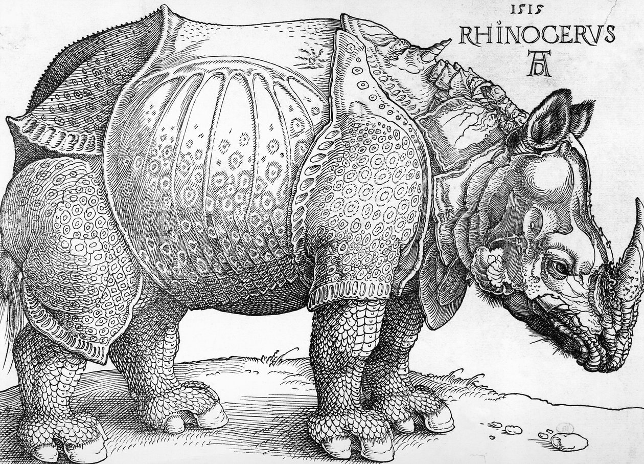 Rinoceronte da Albrecht Dürer