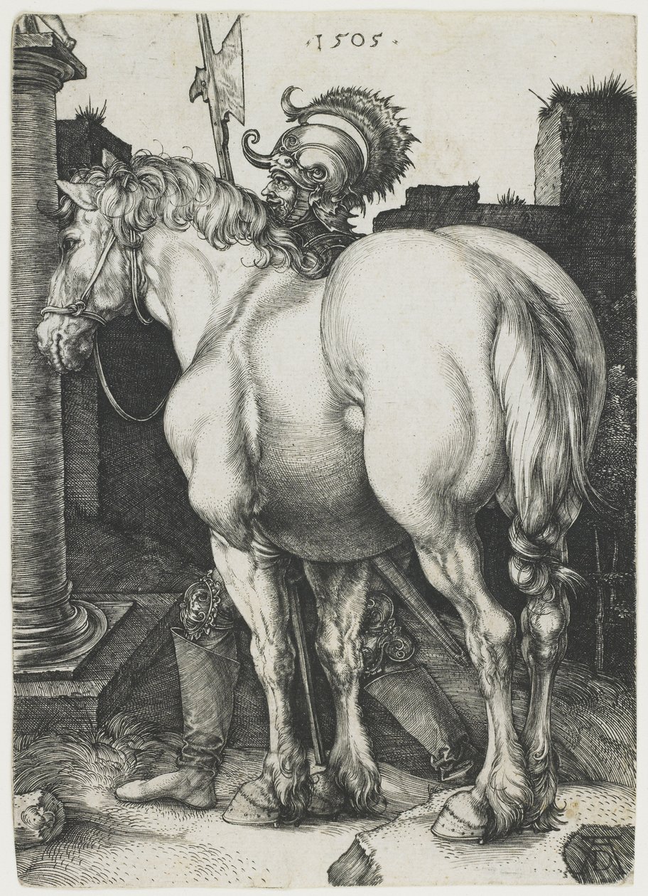 Il grande cavallo da Albrecht Dürer