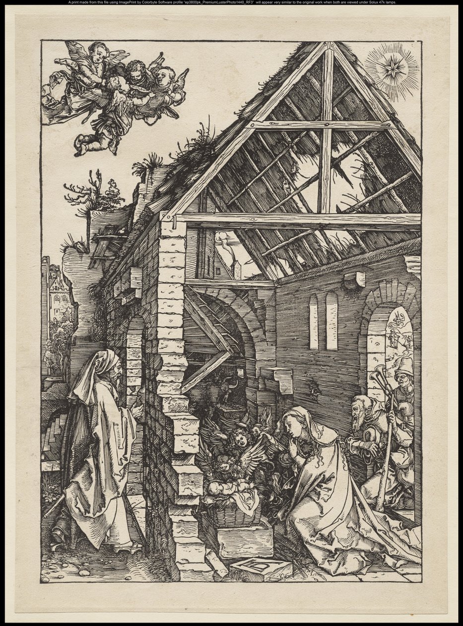 La vita della Vergine: La Natività da Albrecht Dürer