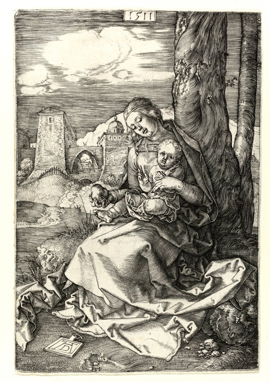 La Madonna con la pera da Albrecht Dürer