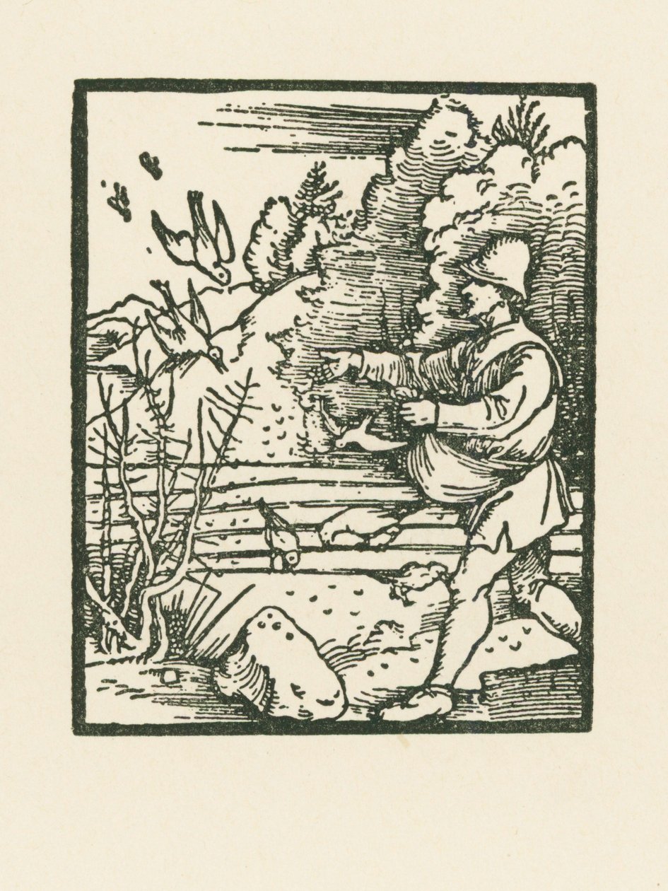 La parabola del seminatore da Albrecht Dürer or Duerer