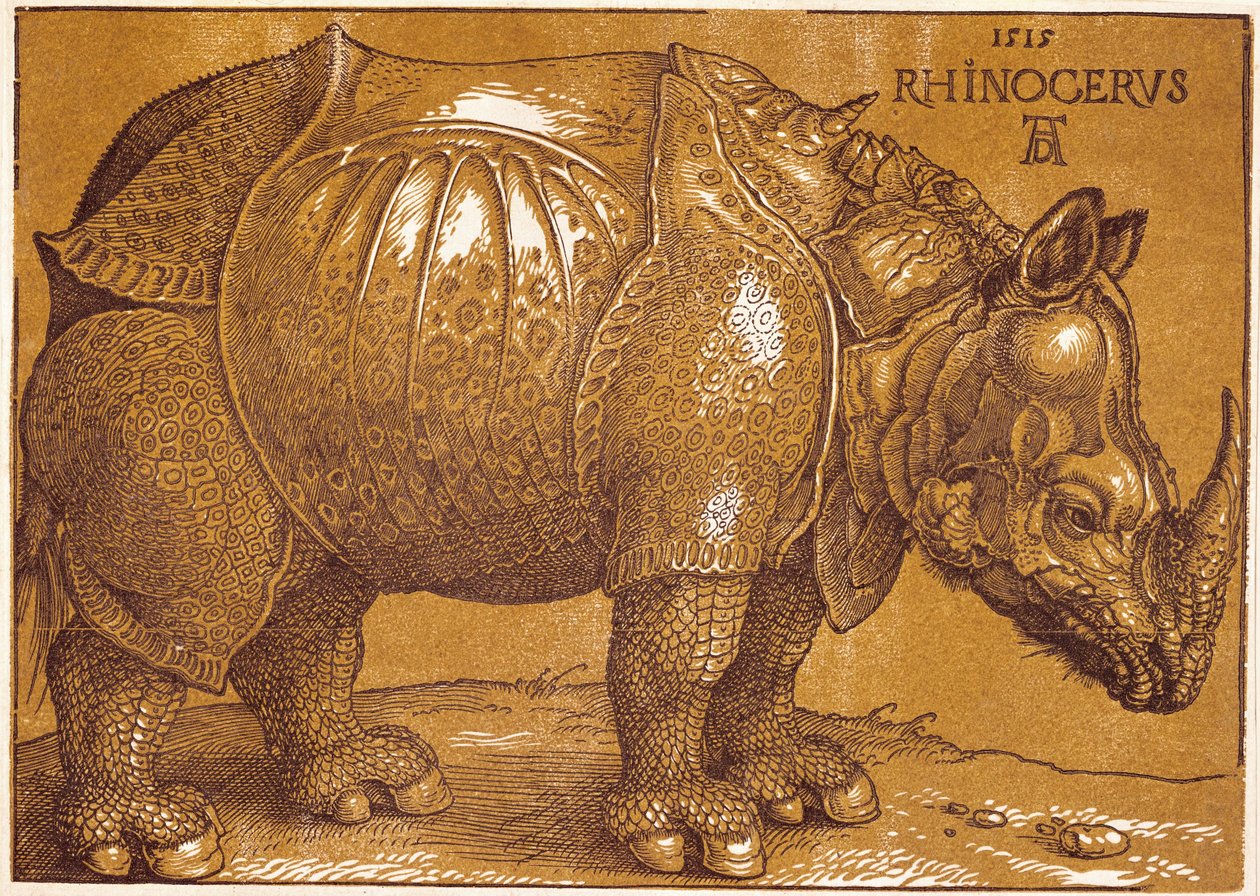 Il Rinoceronte da Albrecht Dürer or Duerer