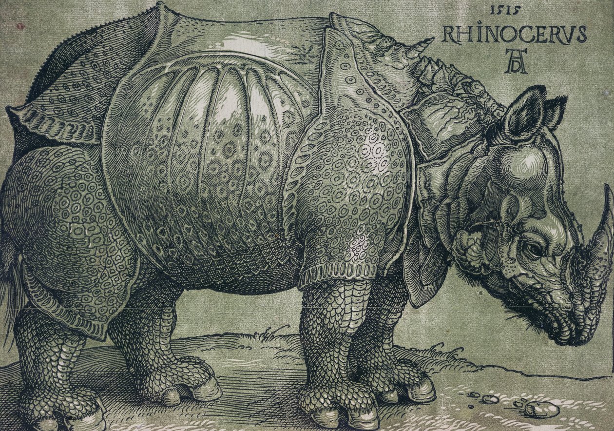 Il Rinoceronte, 1515 da Albrecht Dürer