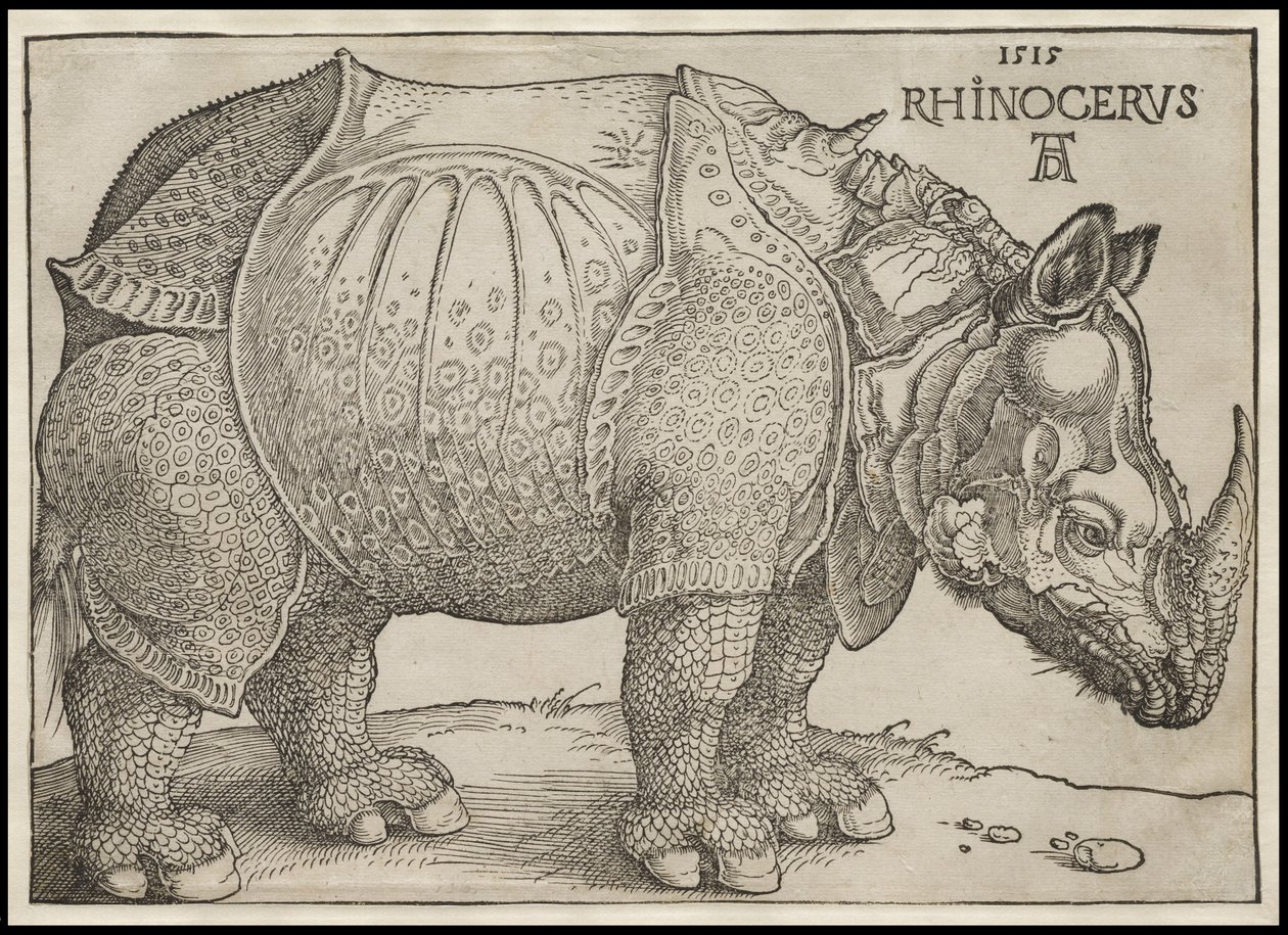 Il rinoceronte, 1515 da Albrecht Dürer
