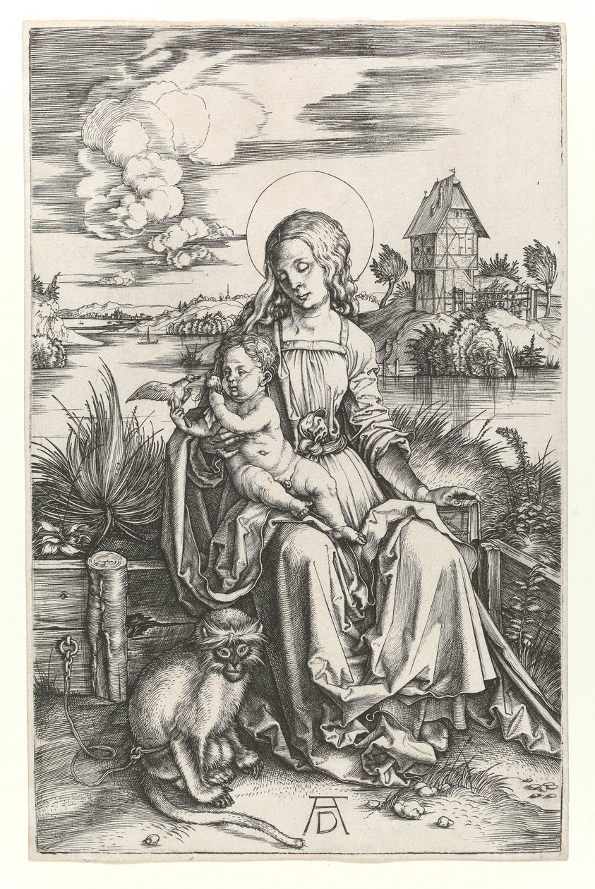 La Vergine con la scimmia, c.1498 da Albrecht Dürer