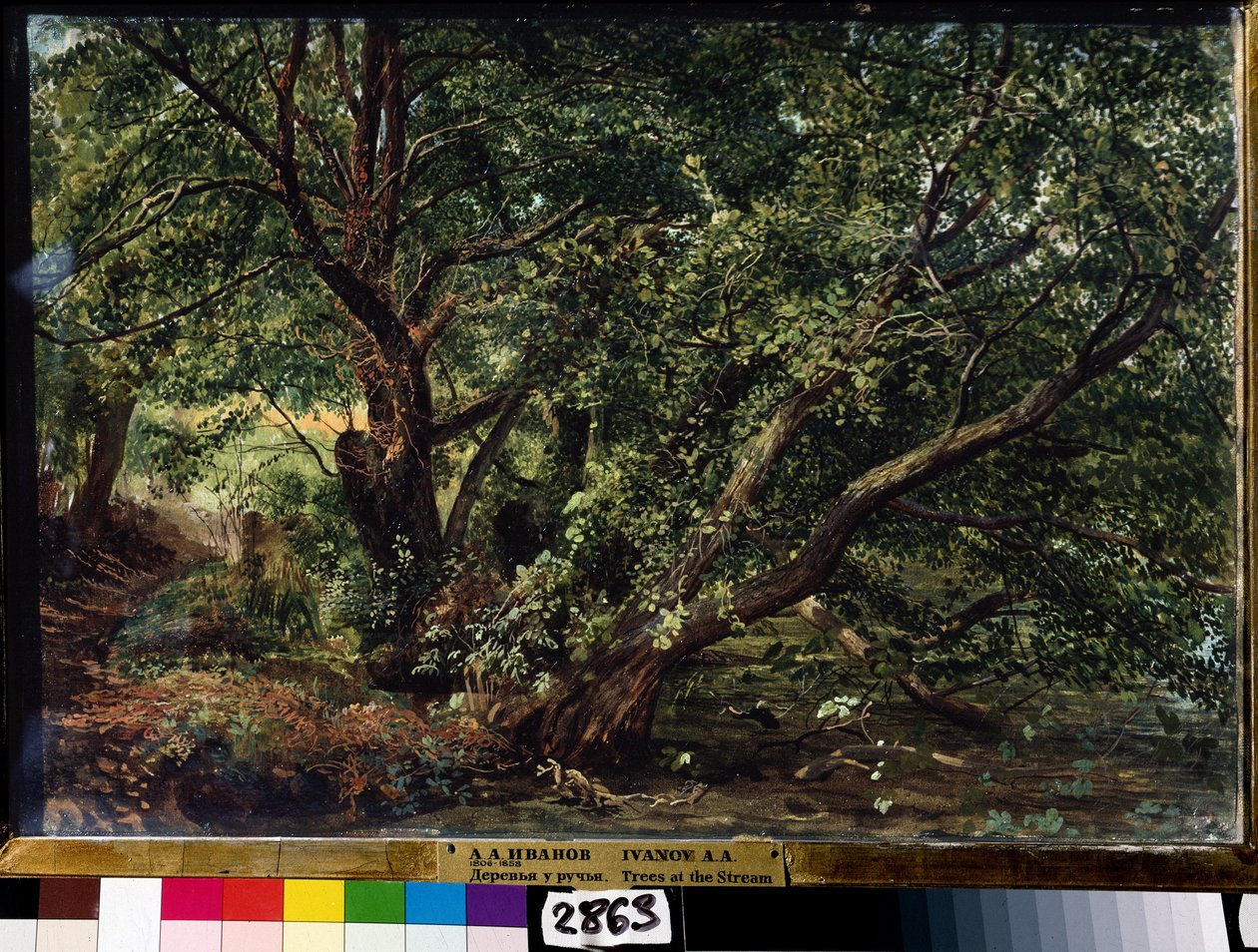 Gli alberi del fiume da Aleksandr Andreevich Ivanov