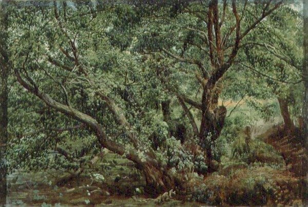 Alberi vicino a un ruscello da Aleksandr Andreevich Ivanov
