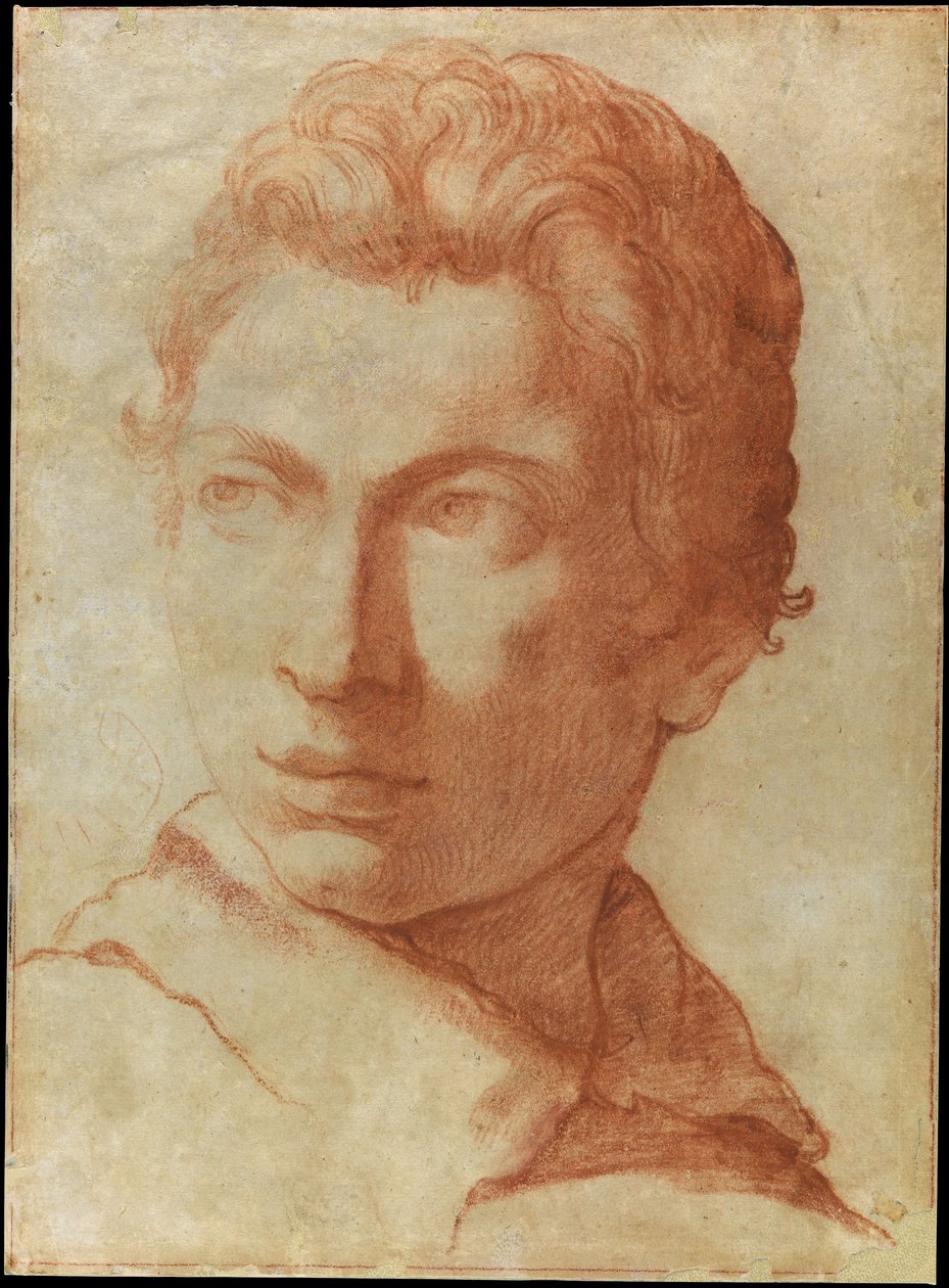 Testa di un giovane uomo da Alessandro Tiarini