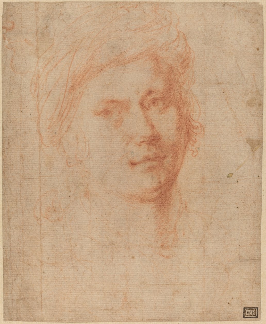 Testa di un giovane da Alessandro Allori