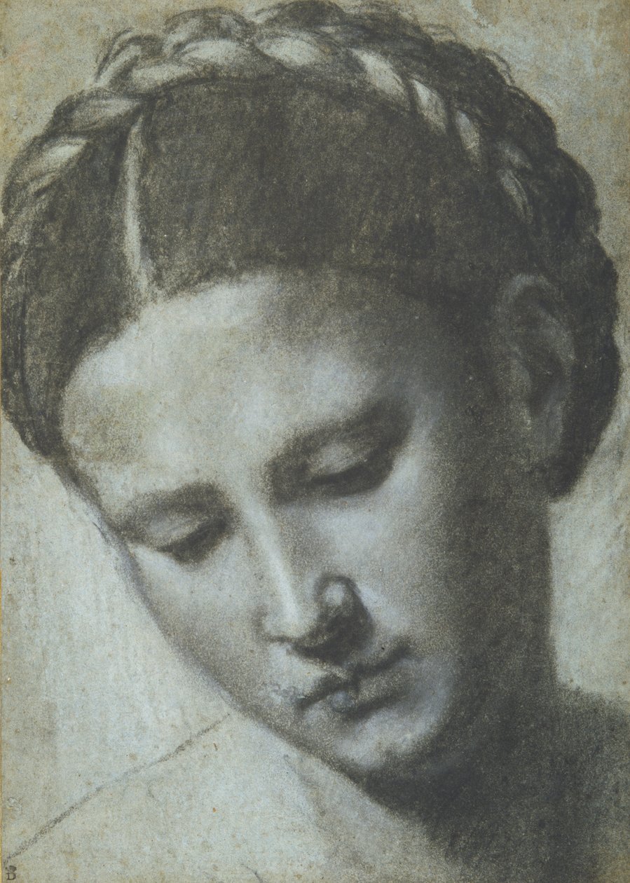 Testa di donna con capelli intrecciati da Alessandro Bonvicino Moretto