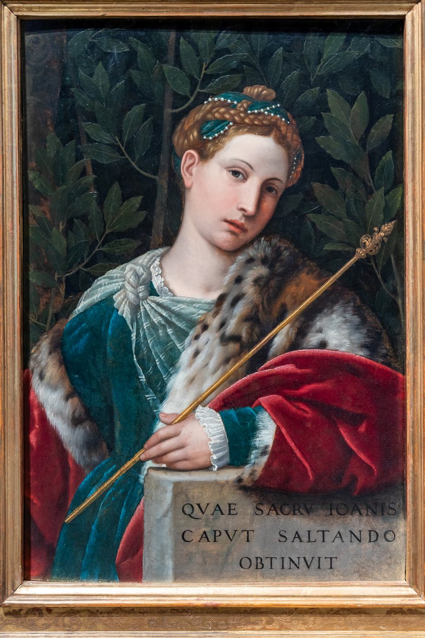 Ritratto di una gentildonna come Salomè, c.1537 da Alessandro Bonvicino Moretto