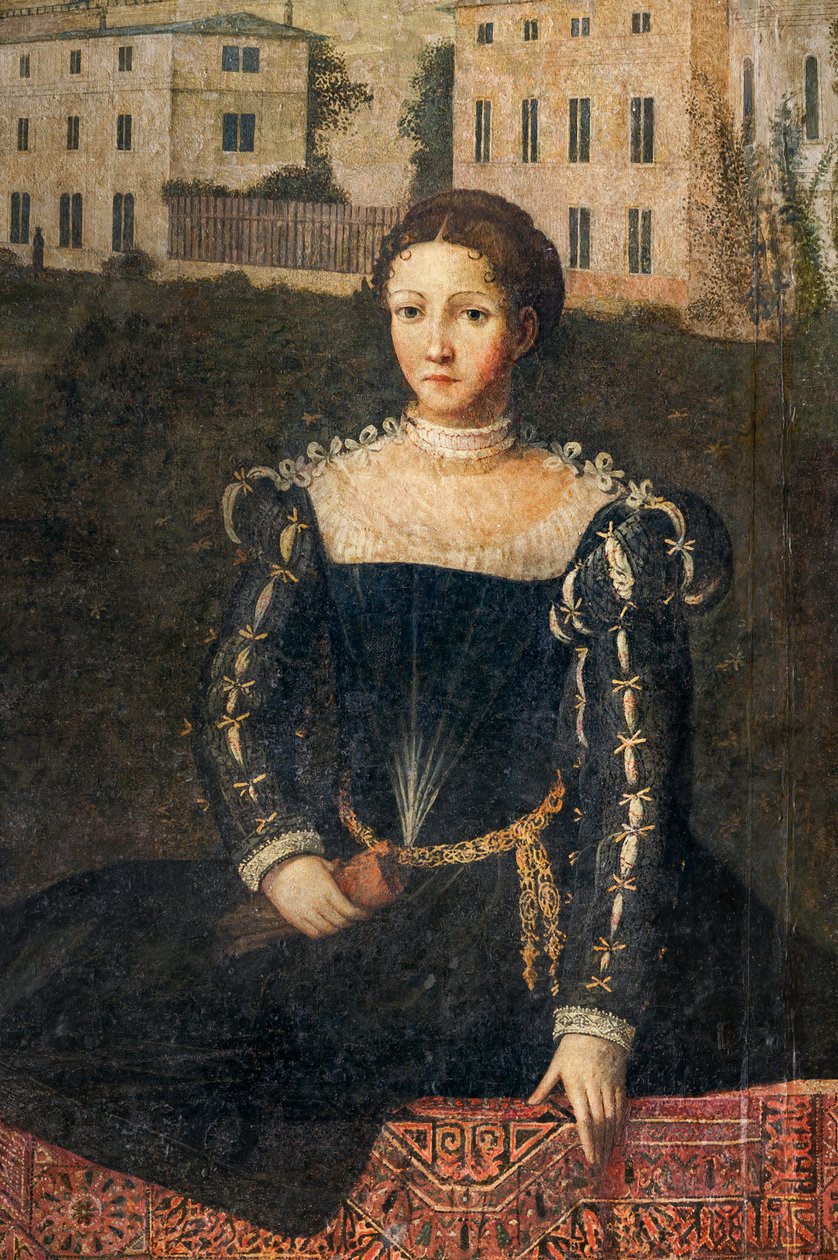 Ritratto di una nobildonna (dettaglio) da Alessandro Bonvicino Moretto