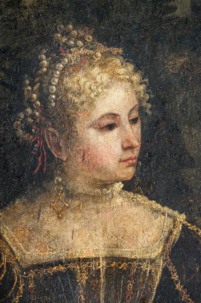 Ritratto di una nobildonna (dettaglio) da Alessandro Bonvicino Moretto