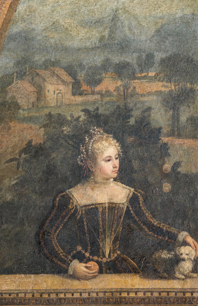 Ritratto di una nobildonna (dettaglio) da Alessandro Bonvicino Moretto