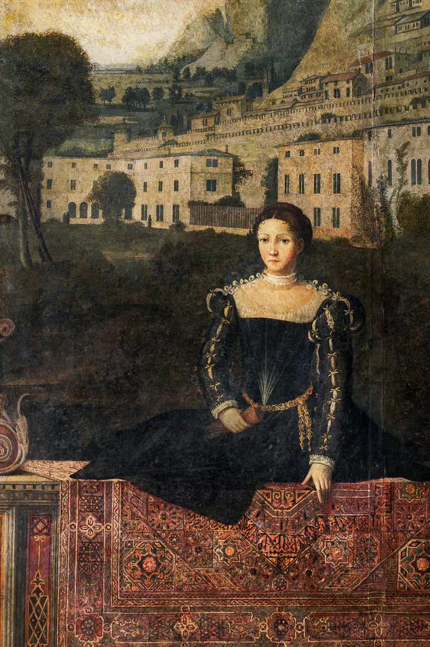Ritratto di una nobildonna, (dettaglio) della Piccola Sala delle Nobildonne da Alessandro Bonvicino Moretto