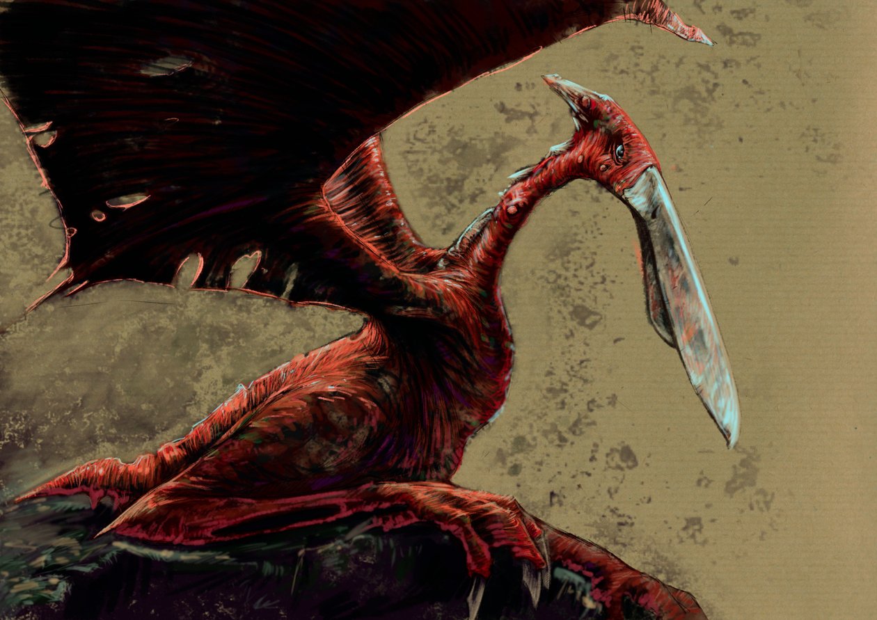 Mostri e creature fantastiche, criptozoologia: rappresentazione di un kongamato, una creatura volatile simile a un pterosauro vista nelle paludi di Jiundu nel distretto di Mwinilunga, Zambia occidentale (Disegno di Alessandro Lonati, 2012) da Alessandro Lonati