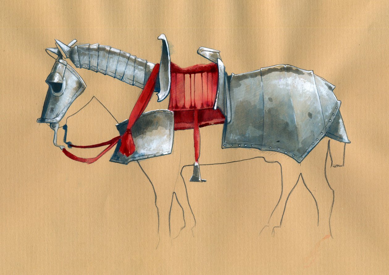 Armatura per cavallo da Alessandro Lonati