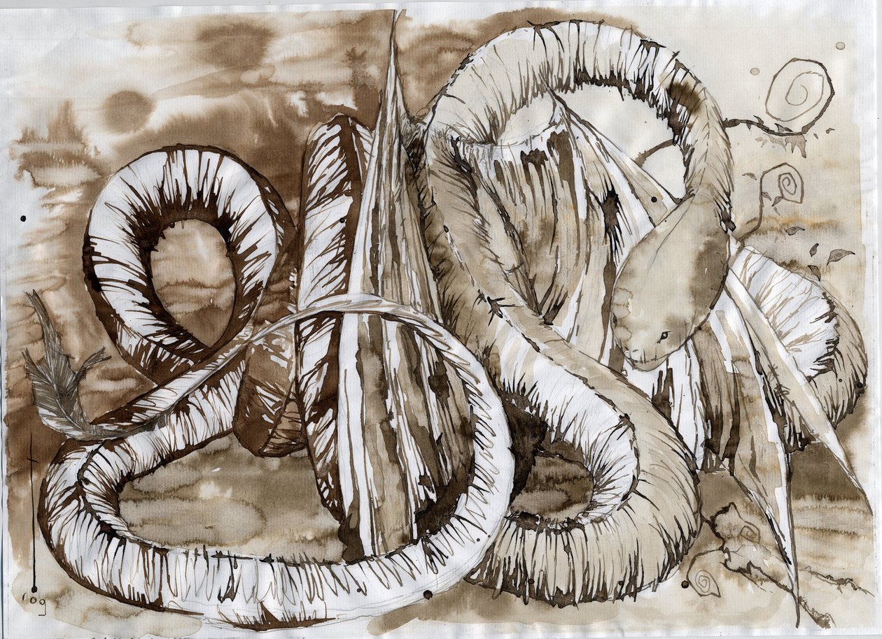 Illustrazione di un animale fantastico e leggendario: drago con un corpo lungo come un serpente da Alessandro Lonati