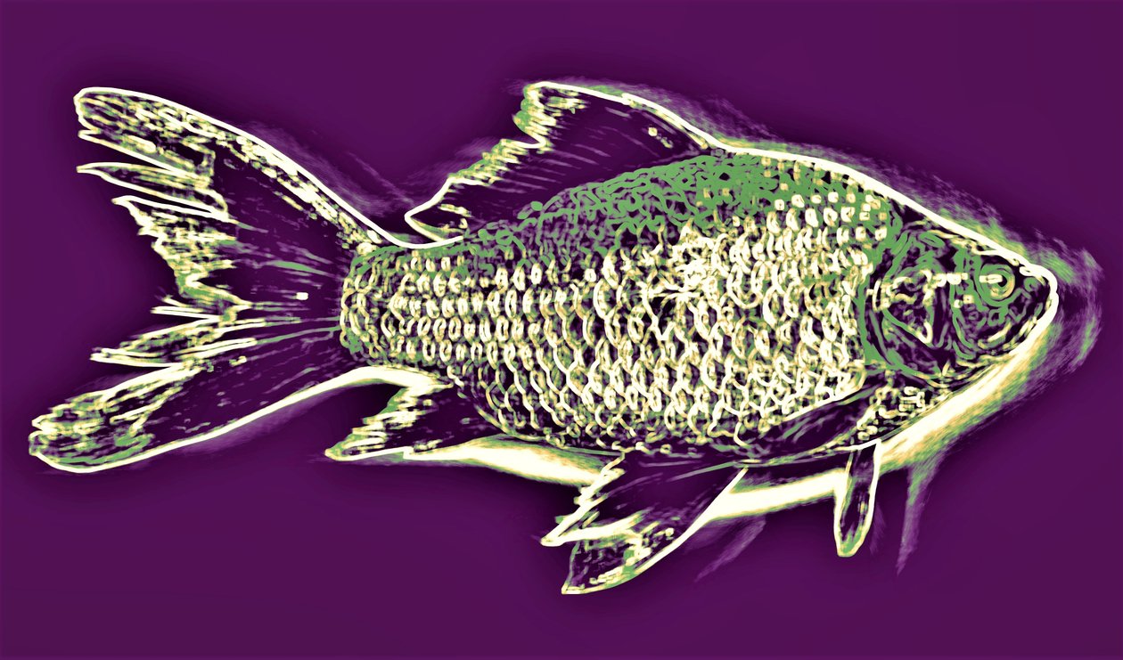 Pesce, 2019 da Alex Caminker