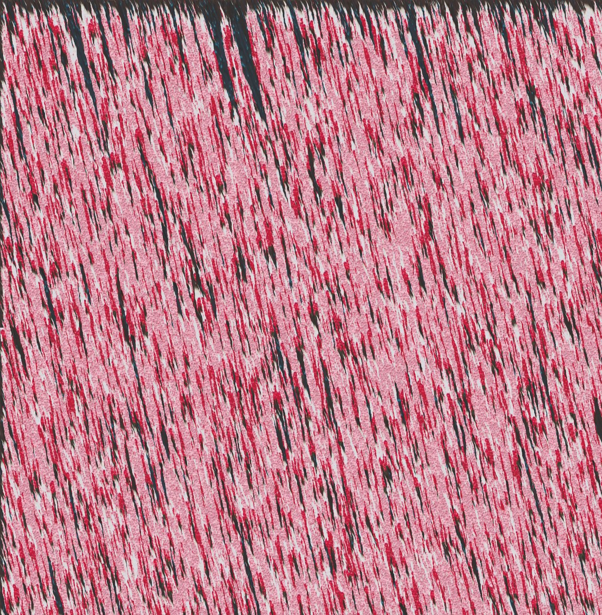 Margine I, 2019 da Alex Caminker