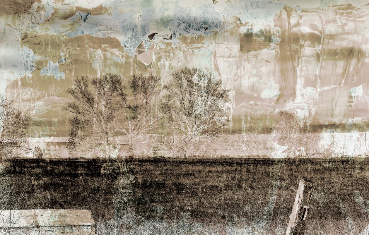 Nebbia marrone da Alex Caminker