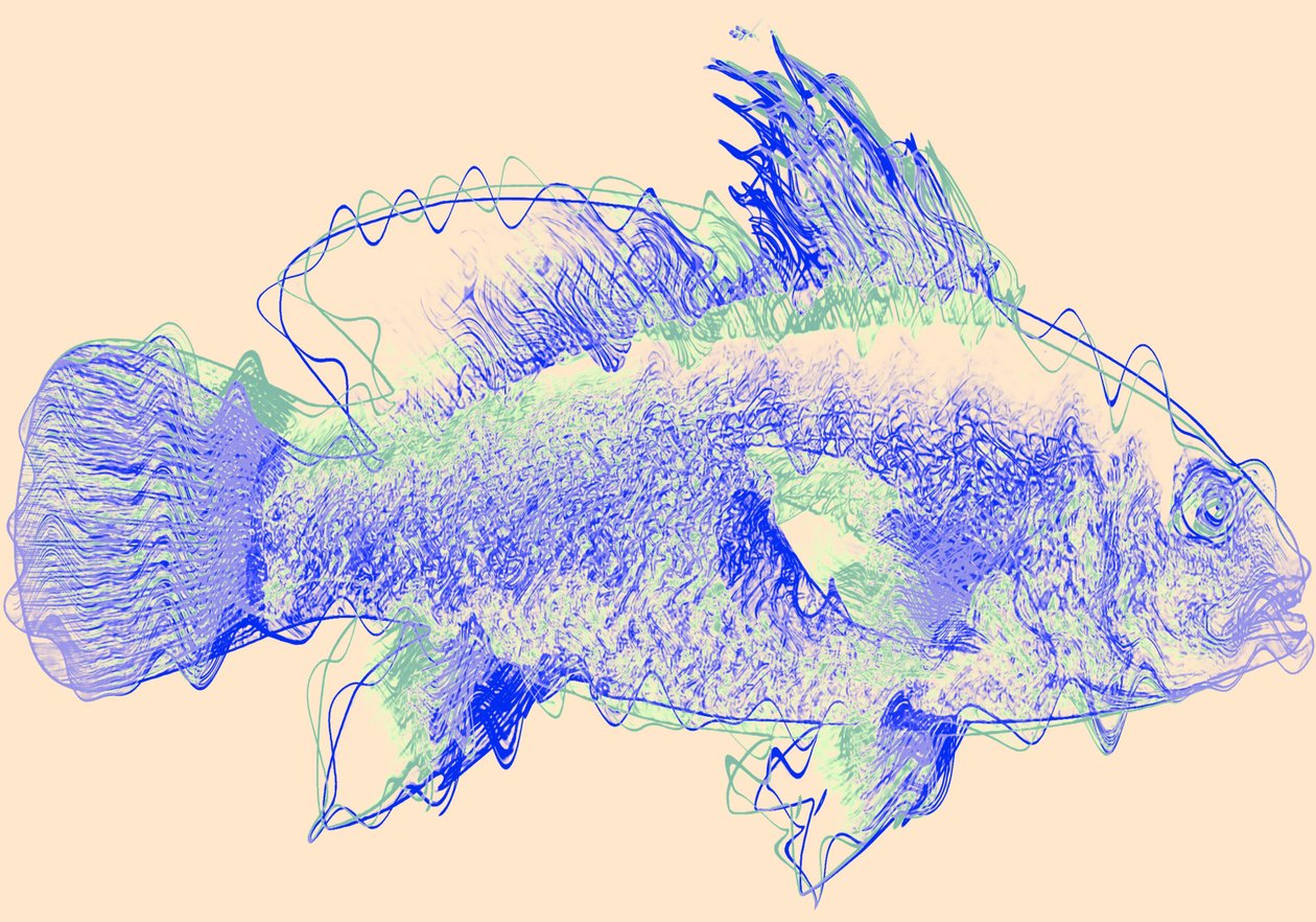 Pesce IV da Alex Caminker