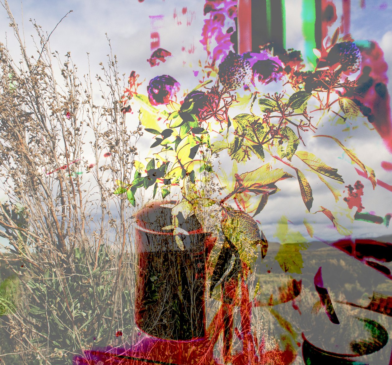 Natura morta, 2019 da Alex Caminker