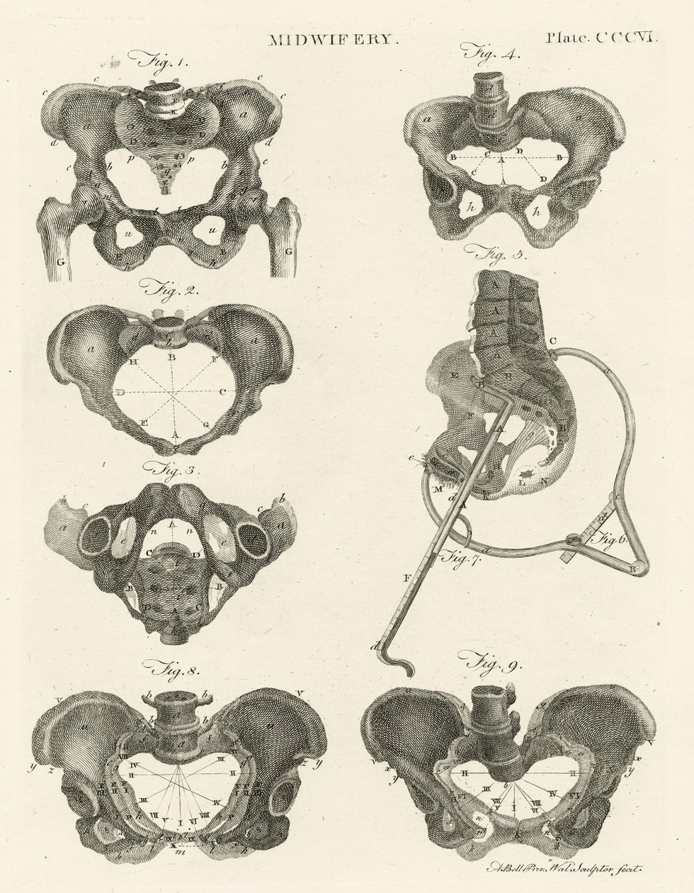 Ostetricia, illustrazione da 