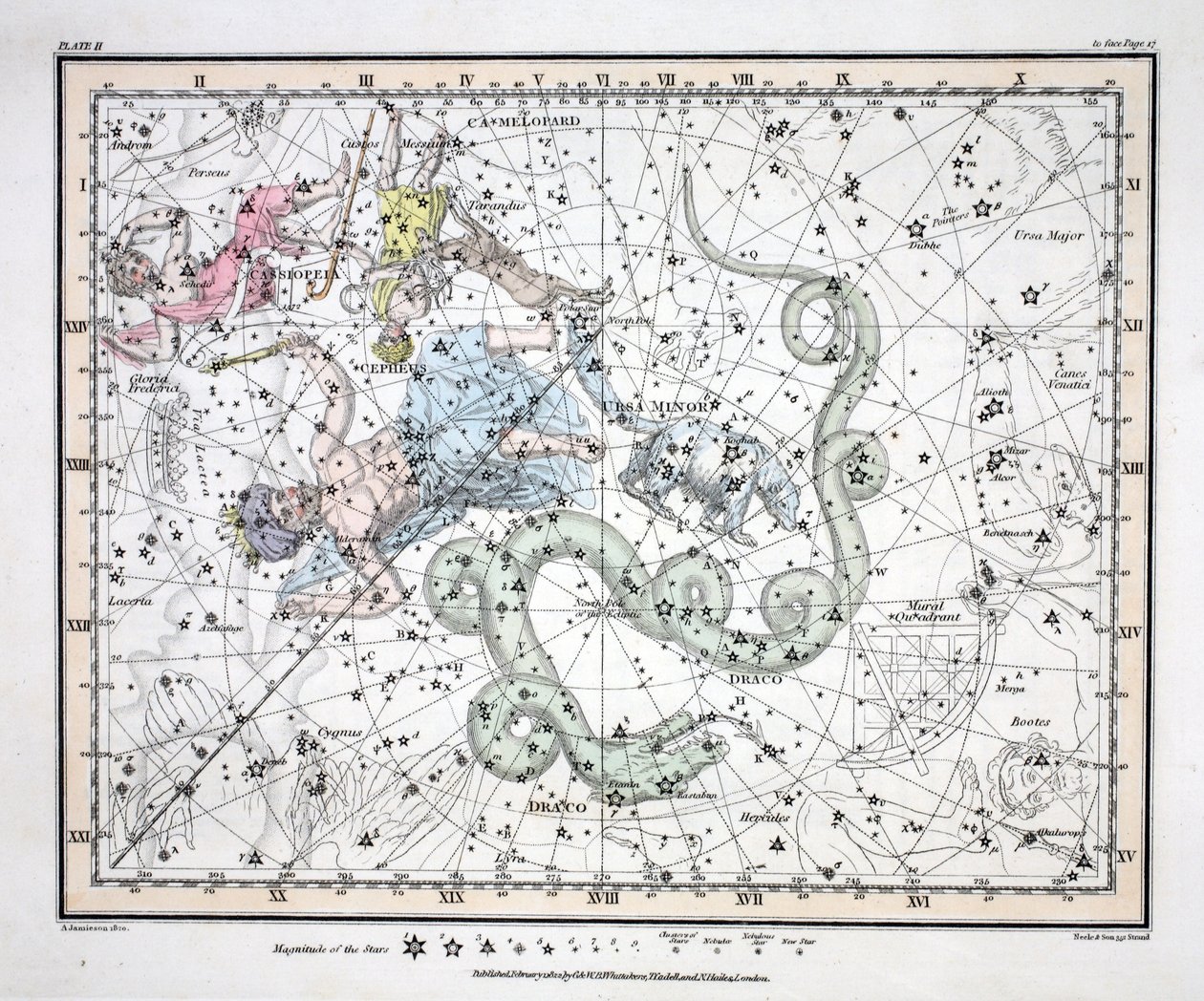 Le costellazioni (Tavola II) Ursa Minor, Cassiopea, Tarandus, Cefeo, Draco, Custos Messium, da 