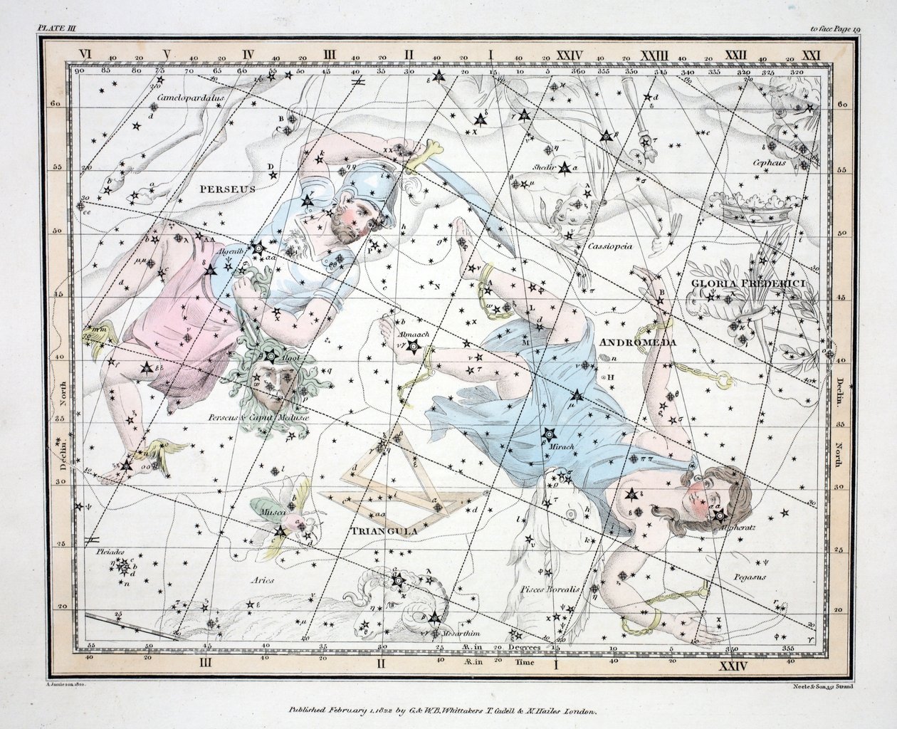 Le costellazioni (Tavola III) Andromeda, Triangula, Perseus et Caput Meduse, Gloria Frederici, da 