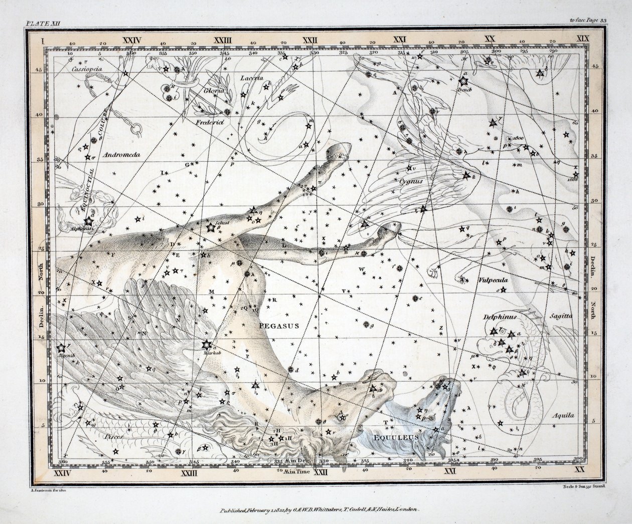 Le Costellazioni (Tavola XII) Pegaso e Equuleus, da 
