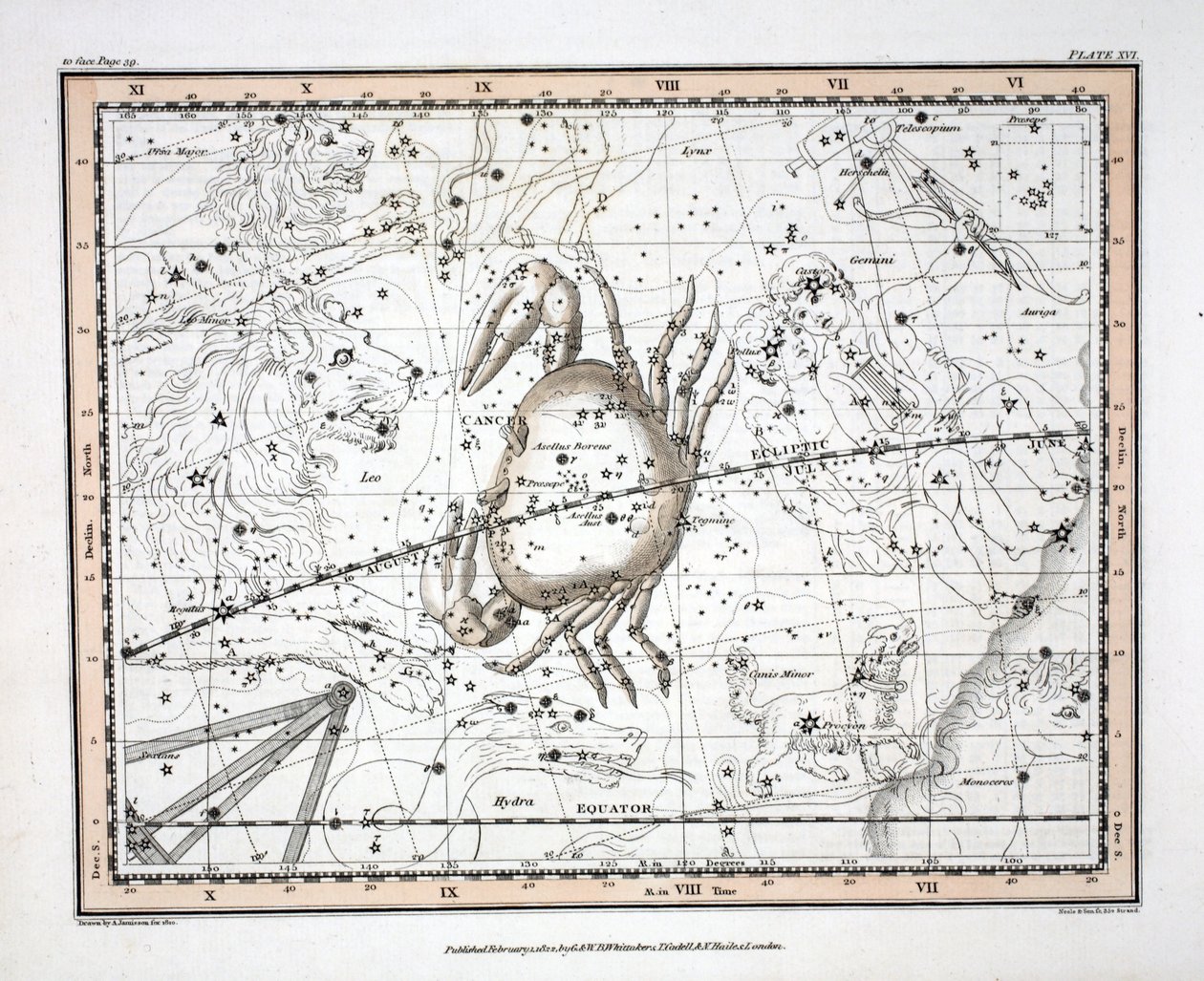 Le Costellazioni (Tavola XVI) Cancro, da 