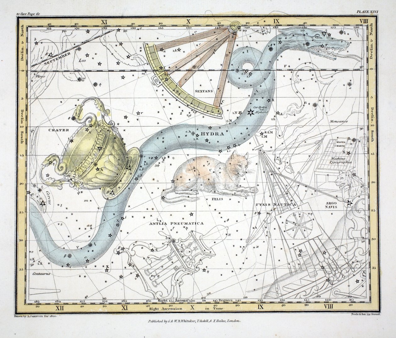 Le costellazioni (Tavola XXVI) Hydra, Sextan