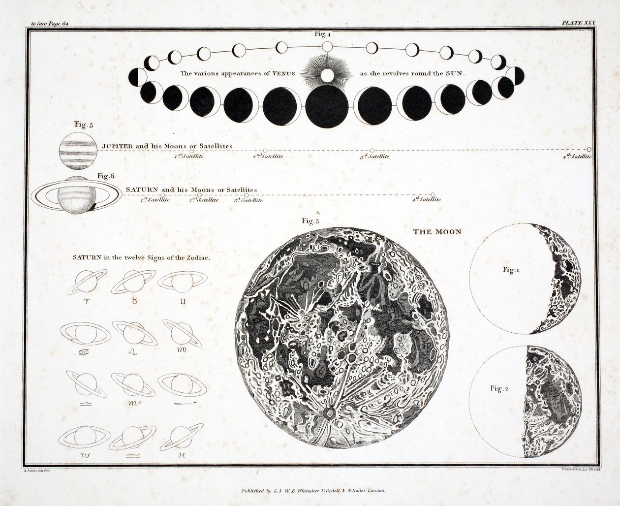 La Luna, Venere e Saturno (Tavola XXX), da 