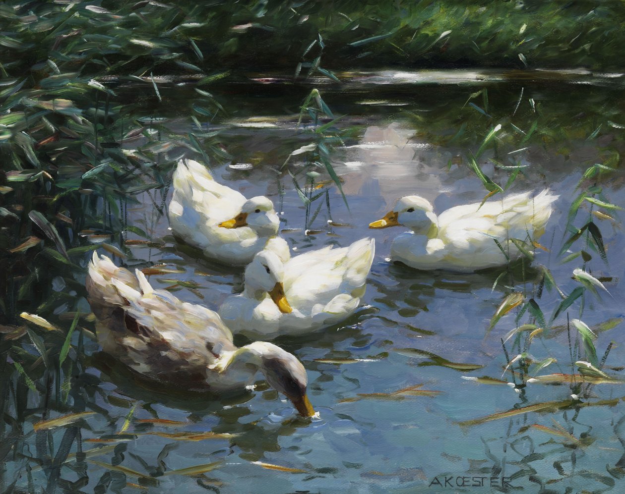 Quattro anatre nello stagno da Alexander Koester