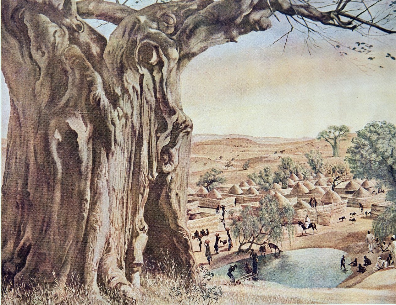 Un Baobab (Soudan), da Dessins et Peintures d