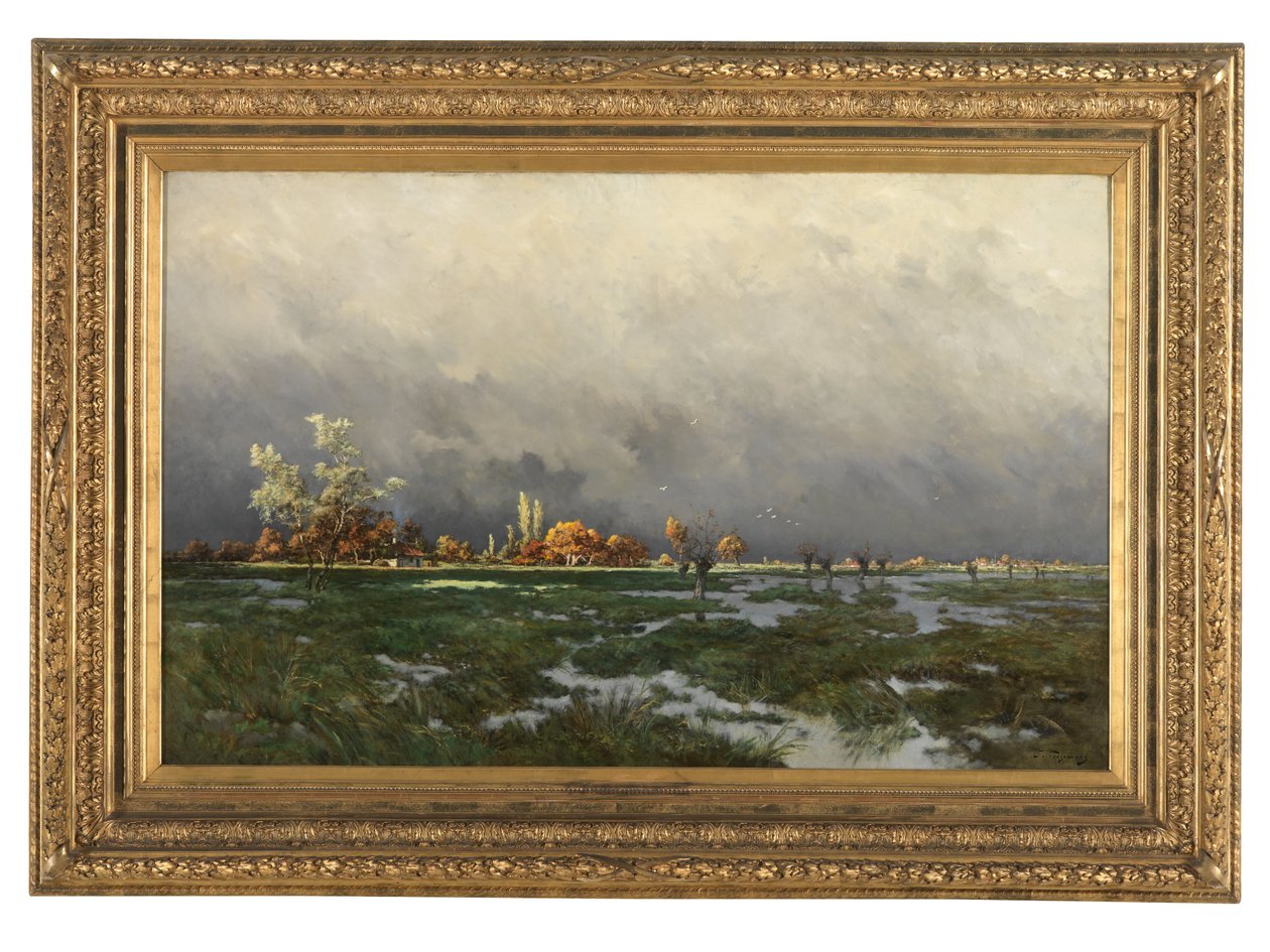Sole dopo la tempesta da Alexander Coosemans