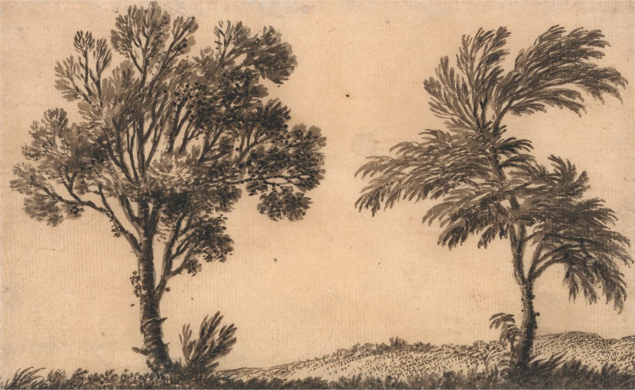Studio di due salici da Alexander Cozens