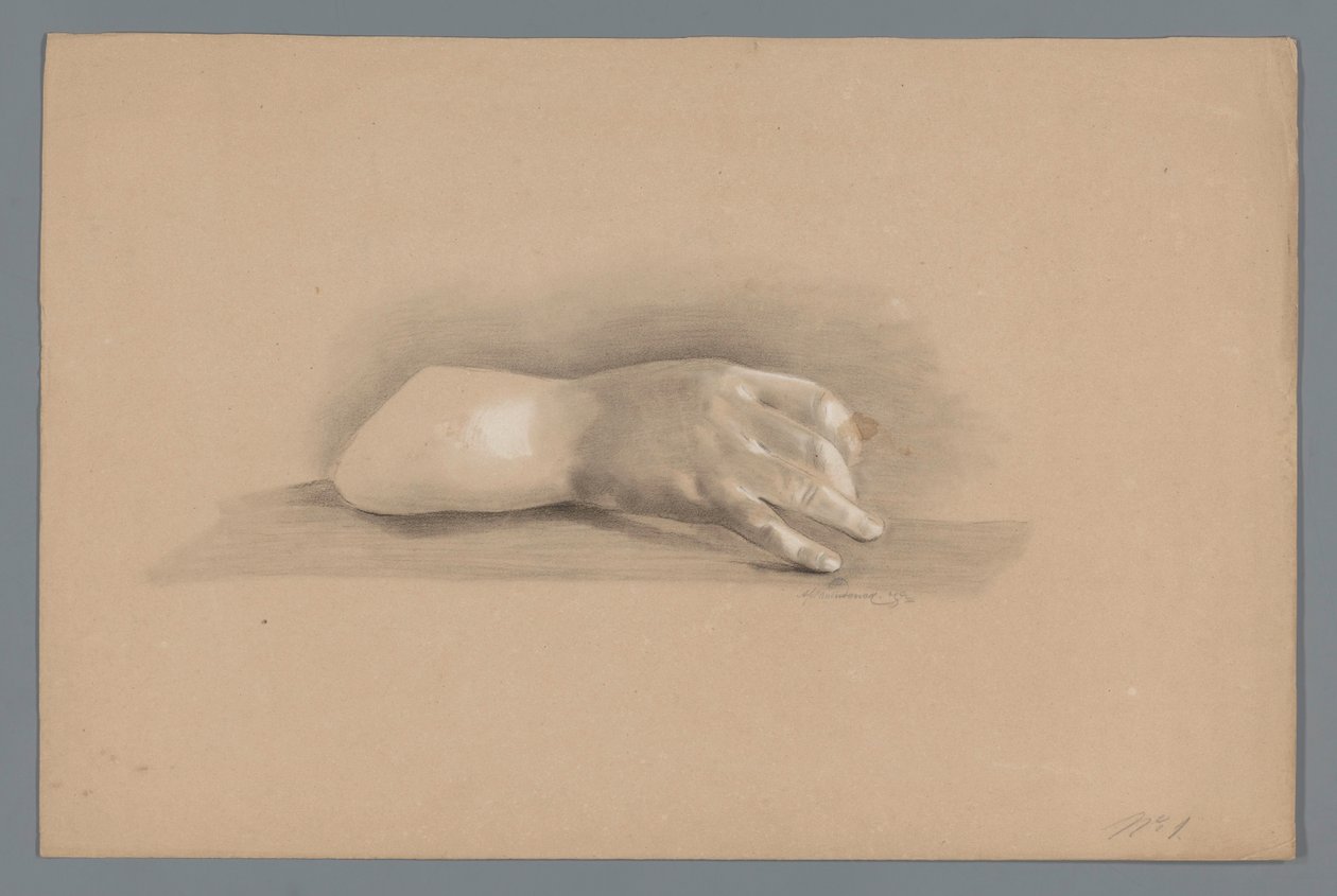 Modello in gesso di una mano da Alexander Cranendoncq