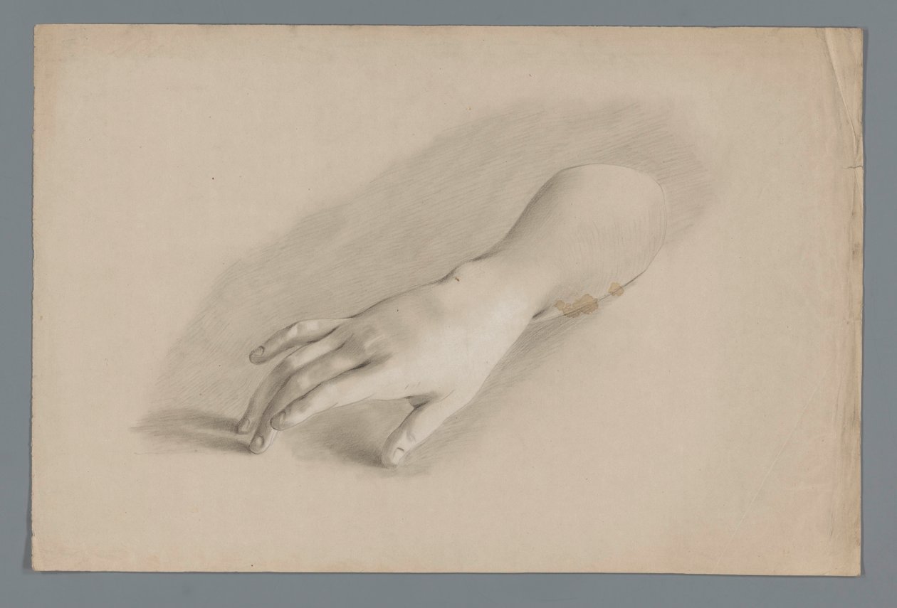 Modello in gesso di una mano da Alexander Cranendoncq