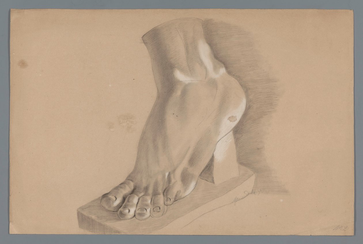 Modello in gesso di un piede da Alexander Cranendoncq