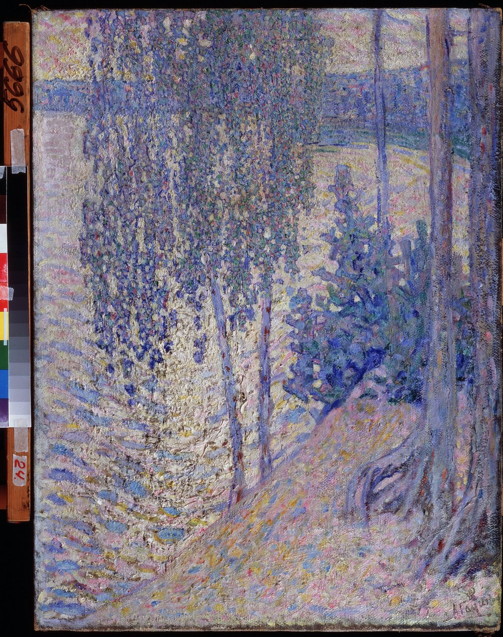 Le betulle da Alexander Gaush