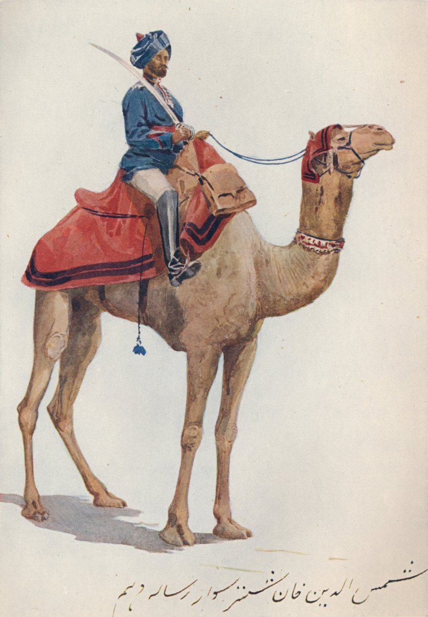 Un cammelliere del 10° Lancieri del Bengala, c1880 da Alexander Henry Hallam Murray