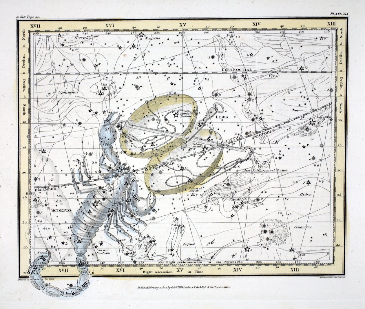 Le costellazioni (Tavola XIX) Bilancia e Scorpione, da 