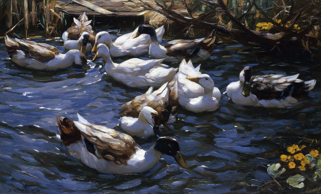 Anatre tra le canne sotto i rami da Alexander Koester