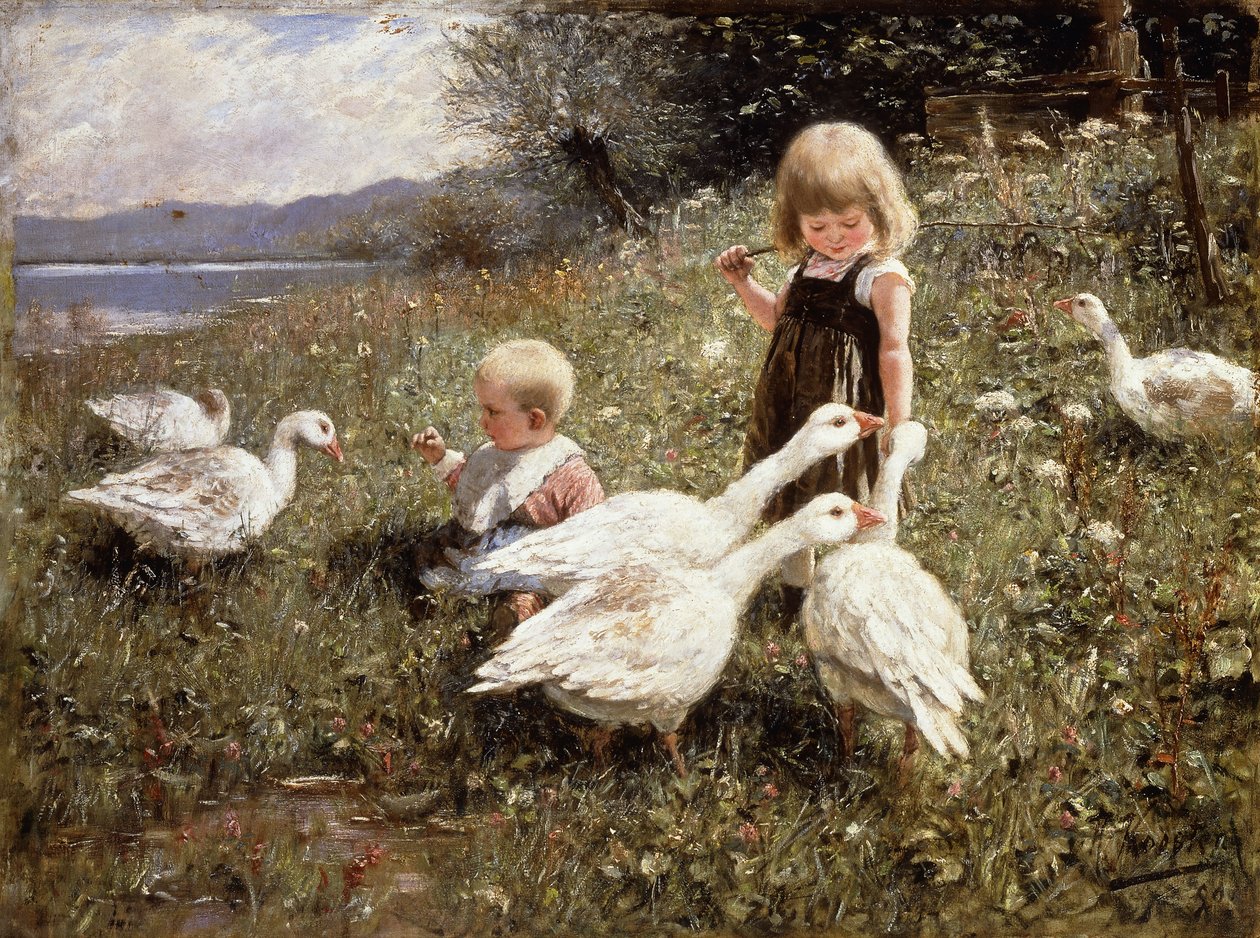 Nutrire le oche da Alexander Koester