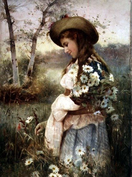 Raccolta di Margherite da Alexander M. Rossi