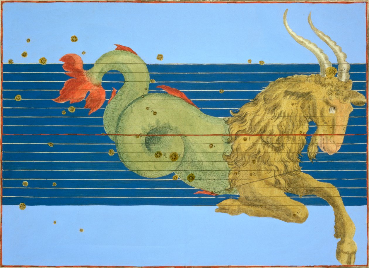 Costellazione del Capricorno da Alexander Mair